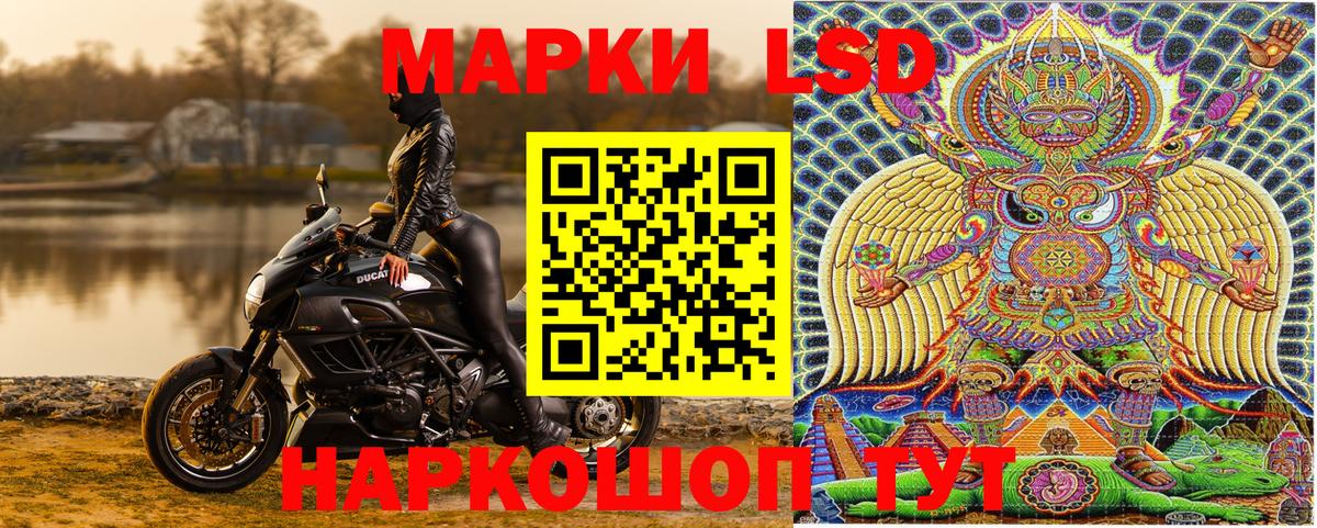 где продают   Марки N-bome  Курчалой  Вход с VPN  Наркотические марки 1,5мг  Наркотические марки 1,5мг 