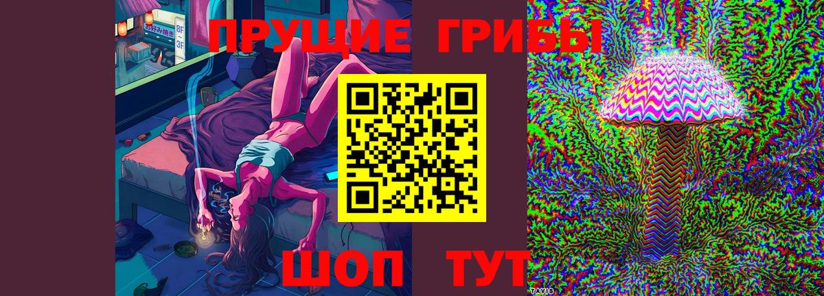 Псилоцибиновые грибы Cubensis  Вход с VPN  Псилоцибиновые грибы мицелий  Курчалой 