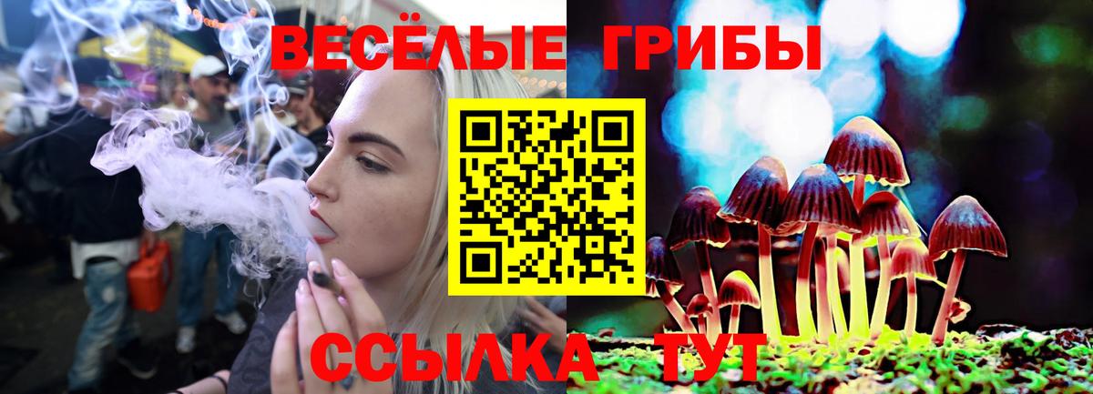 Галлюциногенные грибы ЛСД Курчалой